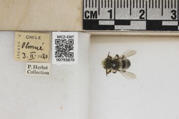 Media type: image;   Entomology 793879 Aspect: Labels